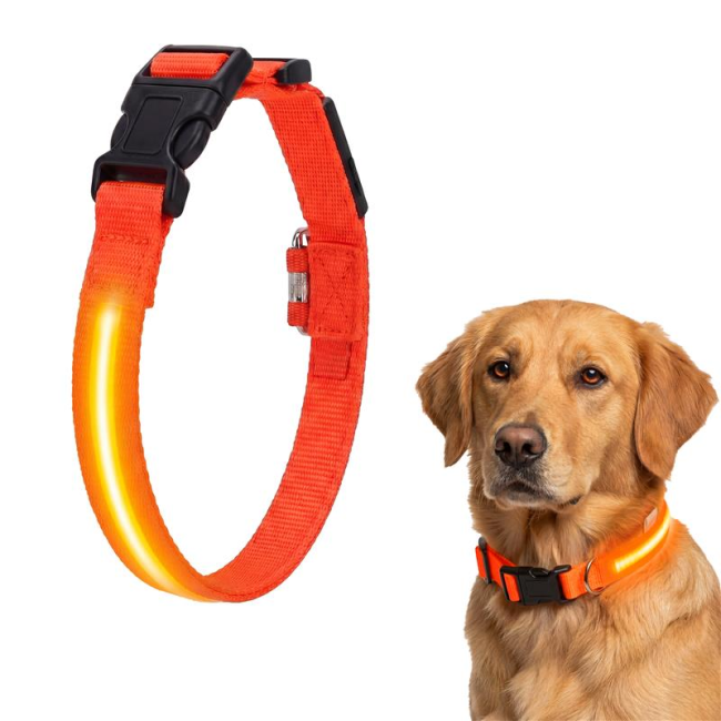 LED Hondenhalsband - Rood