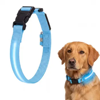 LED Hondenhalsband - Blauw