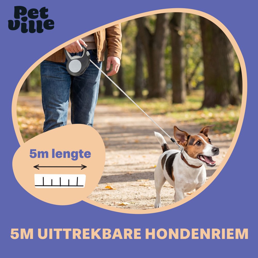 Reflecterende Hondenriem - 5 Meter