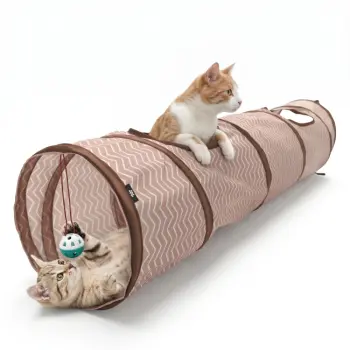 Kattentunnel