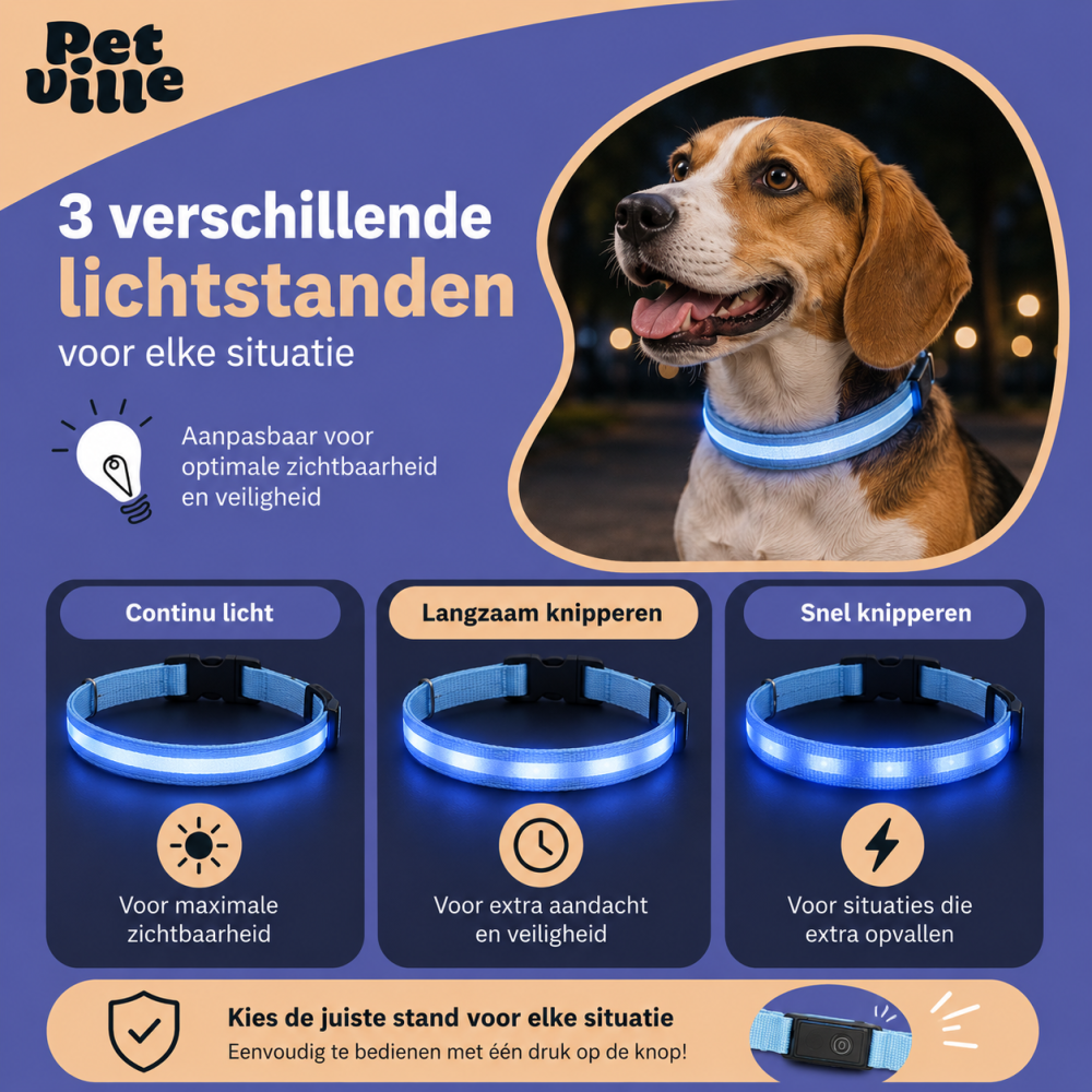 LED Hondenhalsband - Blauw